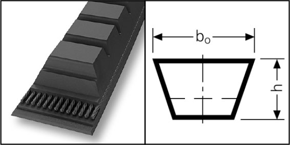 Клиновые ремни классического сечения BX с открытыми боковыми гранями и с формованным зубом
