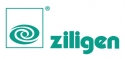 Ziligen