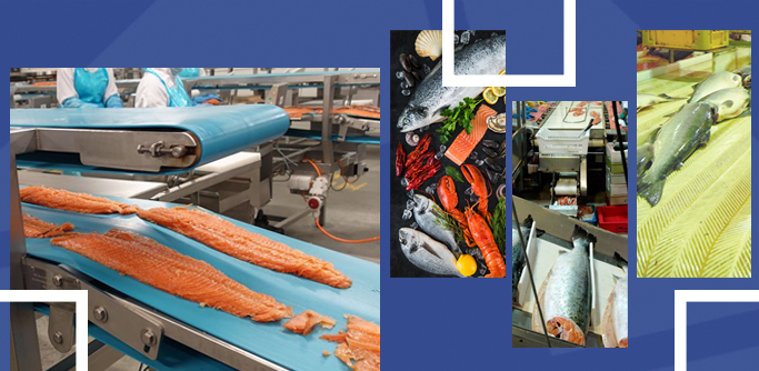 Транспортерные ленты для рыбопереработки